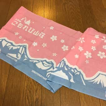 手ぬぐい大図鑑！山小屋限定デザインをチラ見せ《南アルプス編
