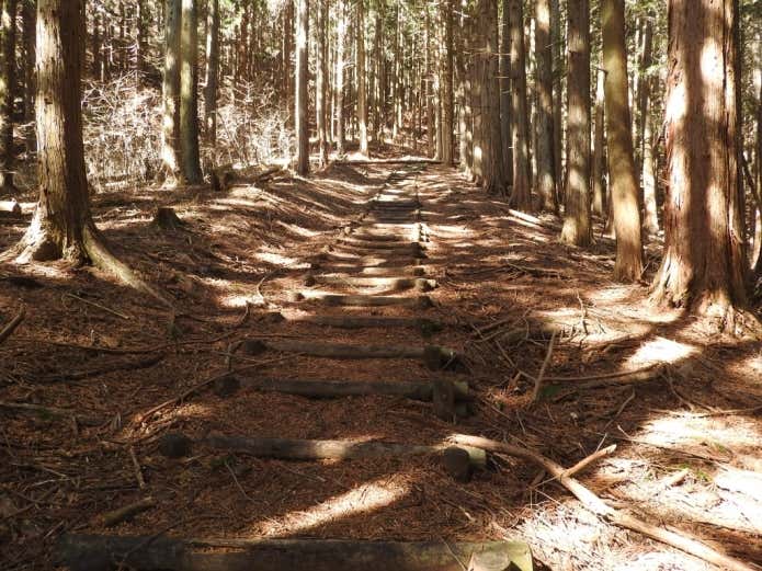 大桁山へ向かう登山道