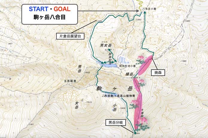 コマクサMAP　秋田駒ヶ岳