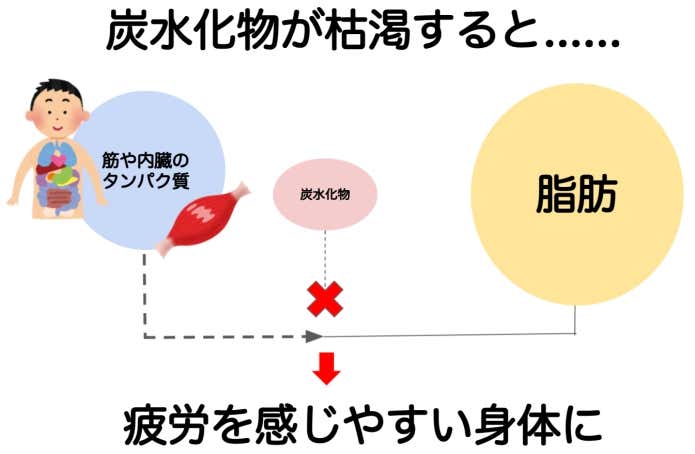 炭水化物が枯渇すると疲労を感じやすい身体に