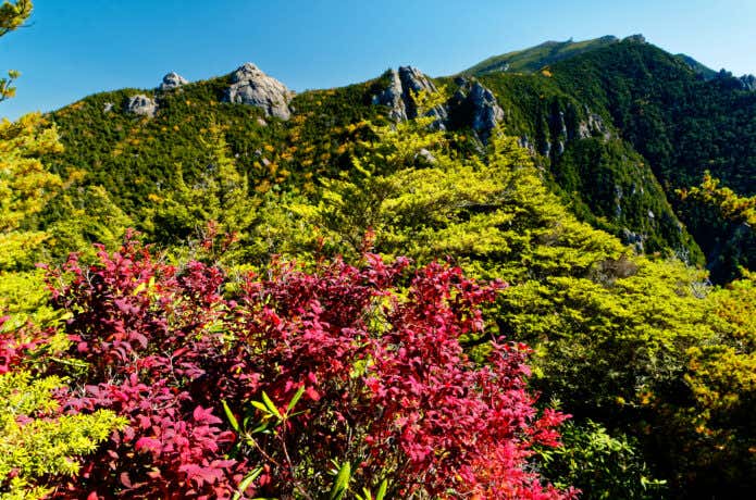 金峰山
