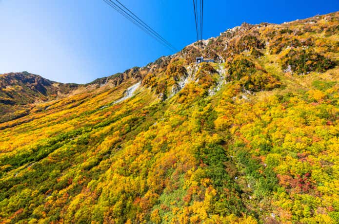 紅葉真っ盛りの立山黒部アルペンルート・立山ロープウェイ