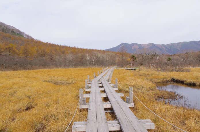 沼原湿原