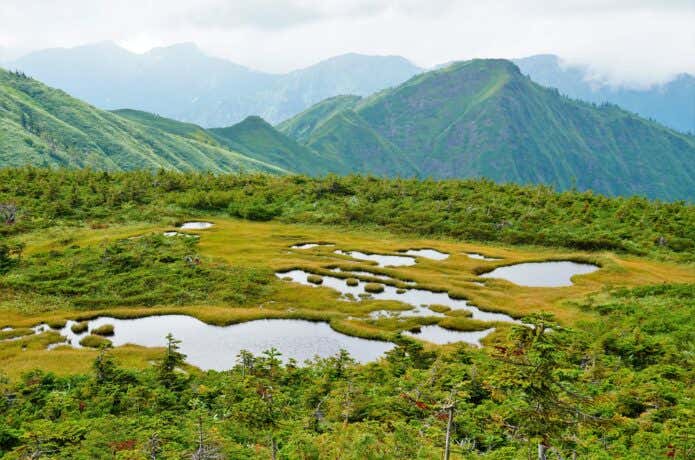 平ヶ岳