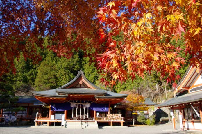 金櫻神社