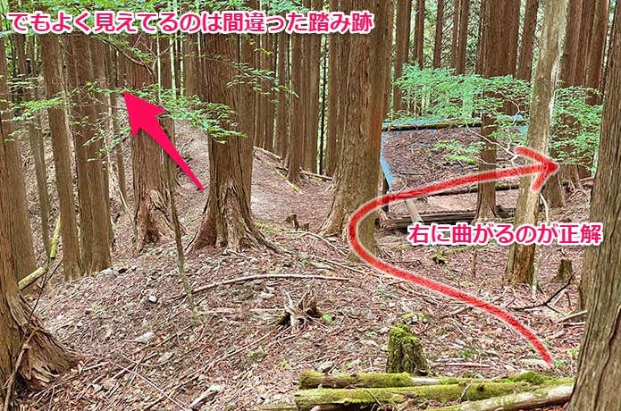 間違った踏み跡のほうがよく見える