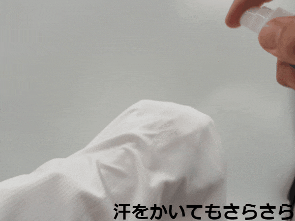 霧吹きでの模擬実験GIFアニメ