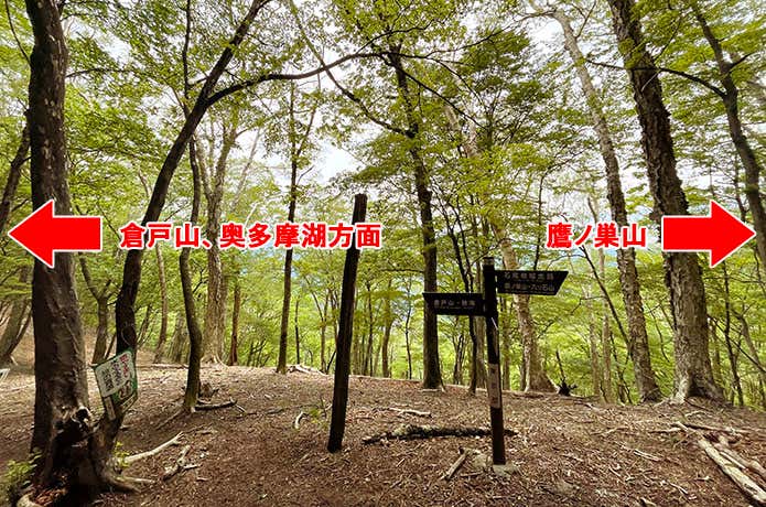 左の榧ノ木尾根へ