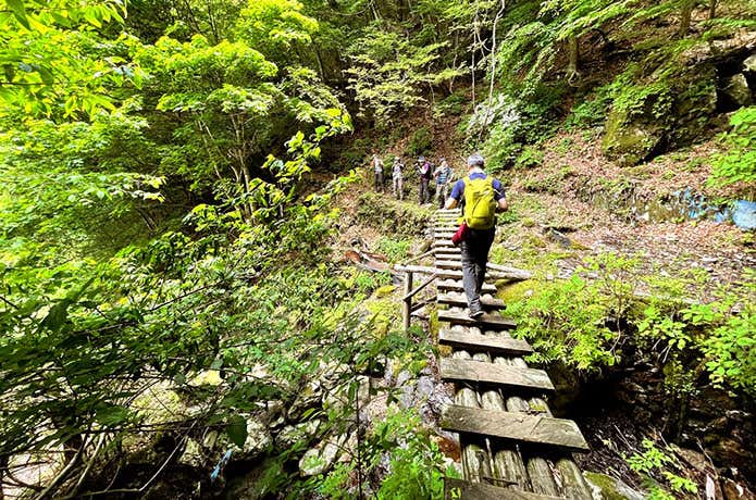 渡渉用の橋
