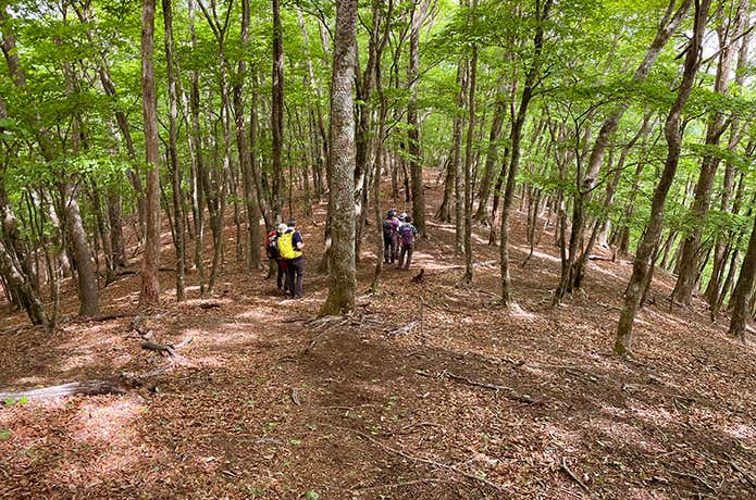 不明瞭な登山道