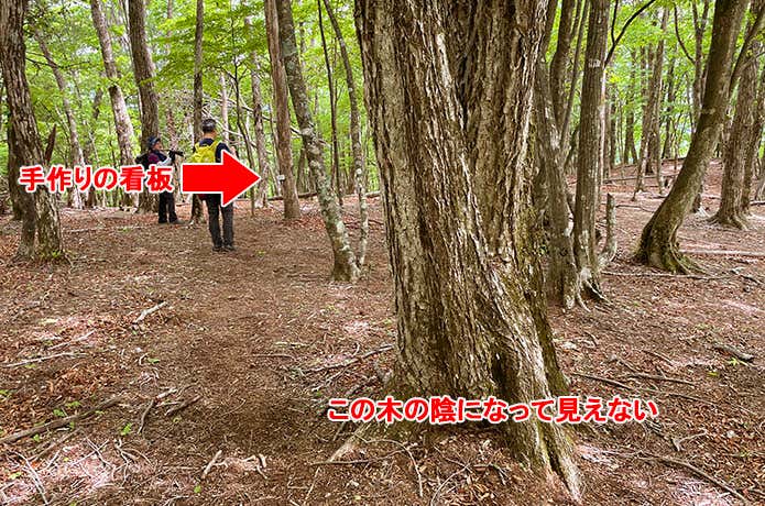 小さく見える道標看板