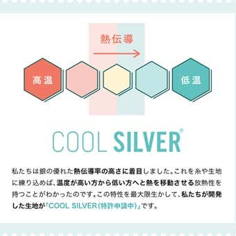 COOL SILVER