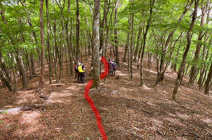 登山道を色付けすると？