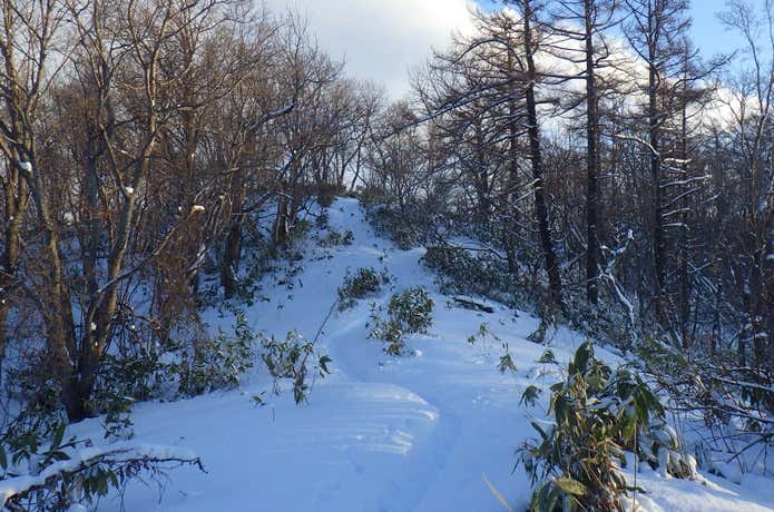 藻岩山で撮影