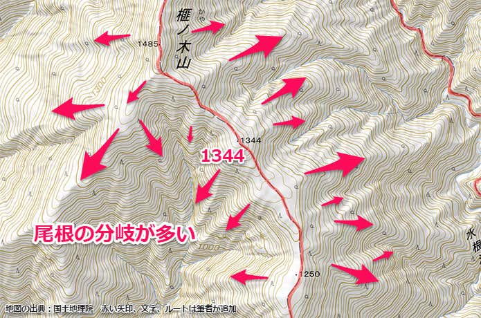 分岐の多い榧ノ木尾根