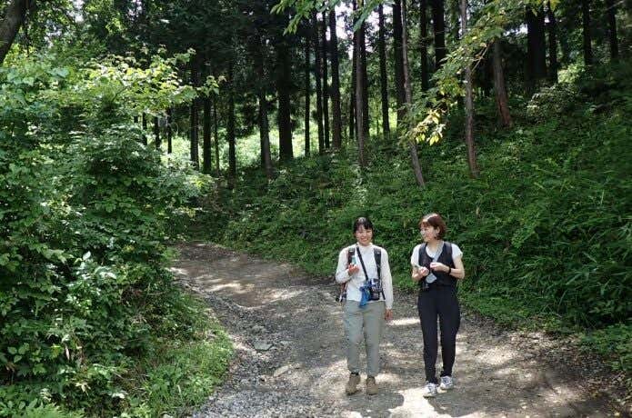 フィルムカメラ　登山　写ルンです