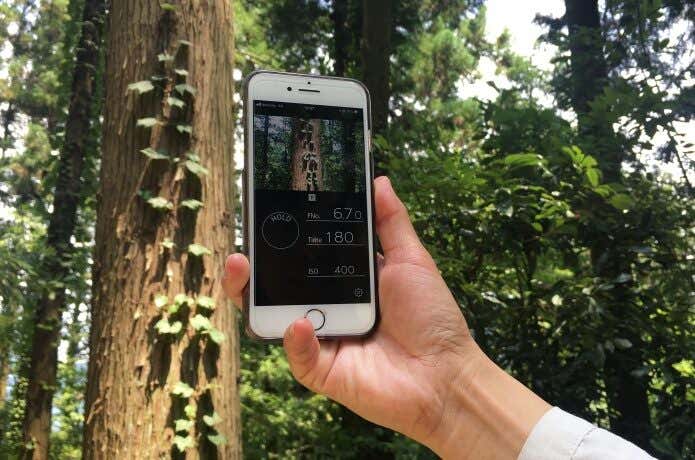 フィルムカメラ　登山　スマホアプリで露出を測る様子