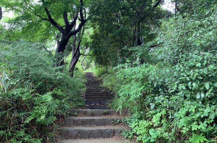 八王子城跡への登山道