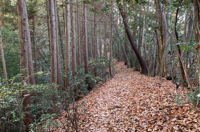 こういう場所では道間違いはまず起こりません