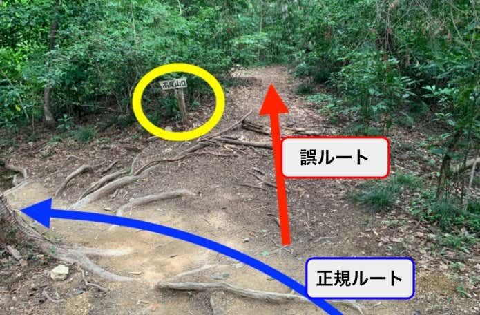青が正規ルート・Aさんは黄色の看板を勘違い・赤の方向に進んでしまった