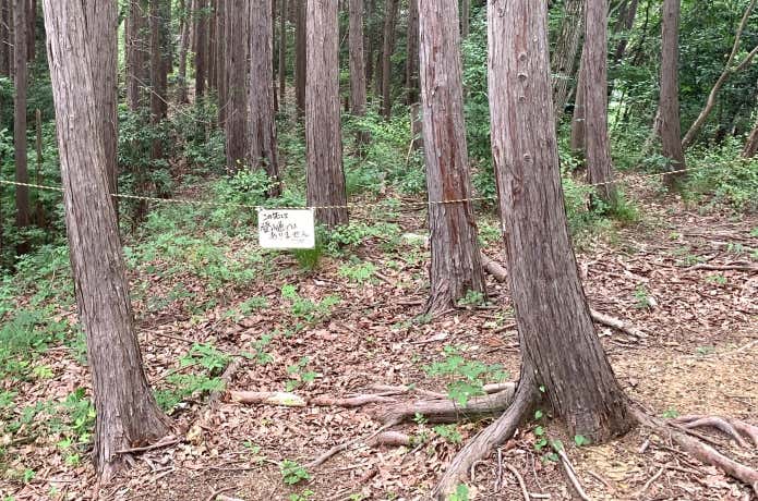 南高尾山稜では、ルートの曲がり角で支尾根に立ち入らないようロープが張られている場所も