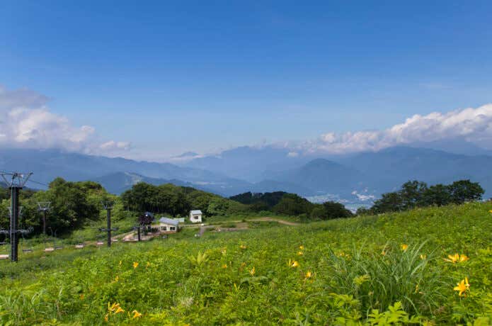 白馬五竜高山植物園