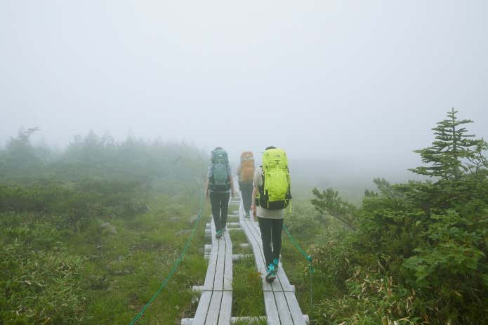 天狗原（てんぐっぱら）の木道を歩く登山者