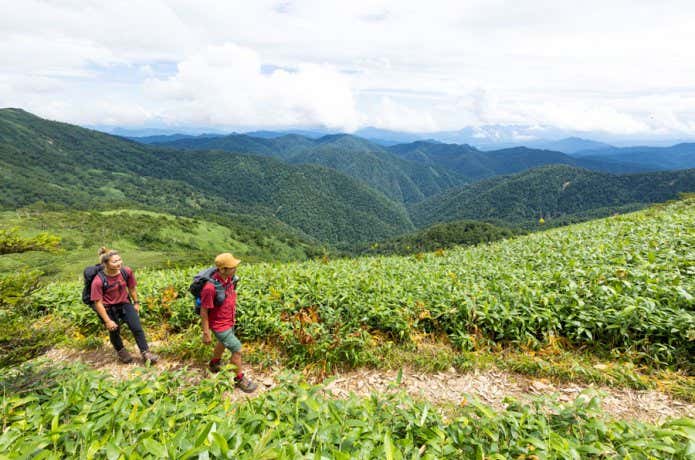 登山道を歩く人