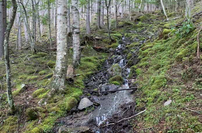 樹林帯ならではの潤いの景観