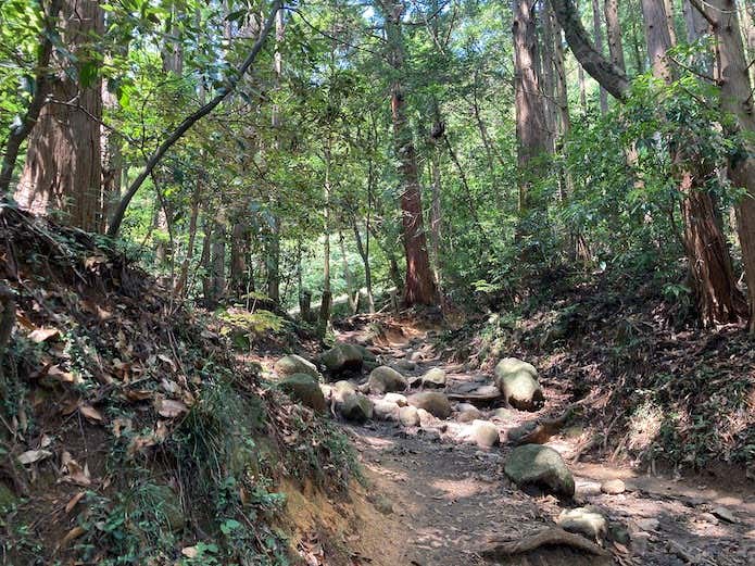 筑波山の登山道