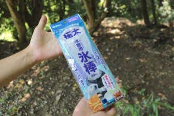 ダイソー　氷棒