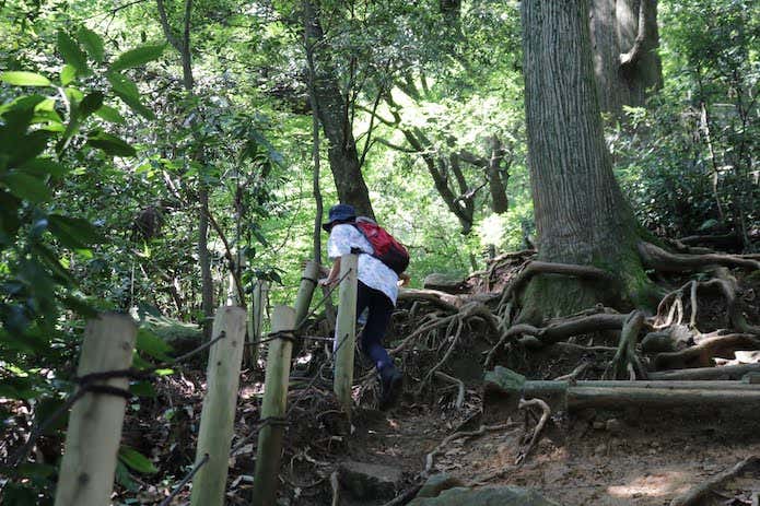 山登り