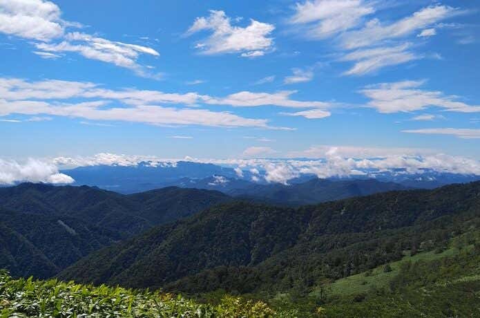 白砂山山頂からの絶景