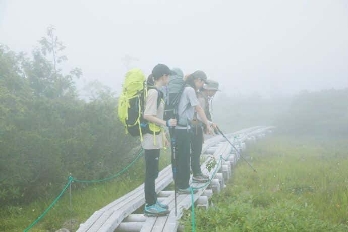 天狗原（てんぐっぱら）の木道を歩く登山者