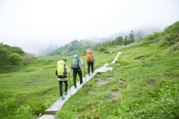 水平道の木道を歩く登山者