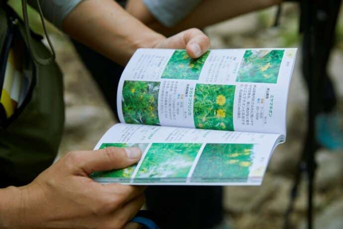 高山植物図鑑