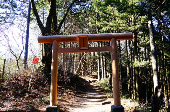 山中の鳥居