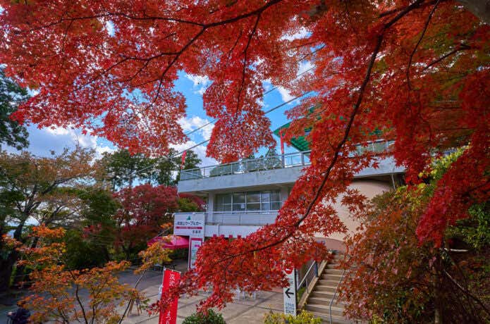 筑波山紅葉