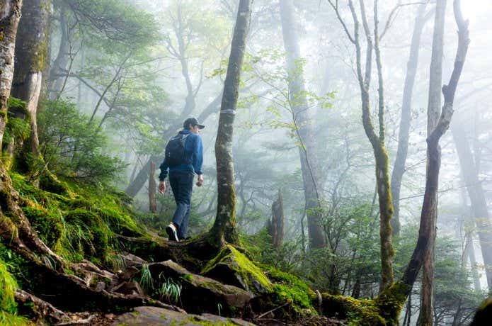 X ウルトラ プロGTX