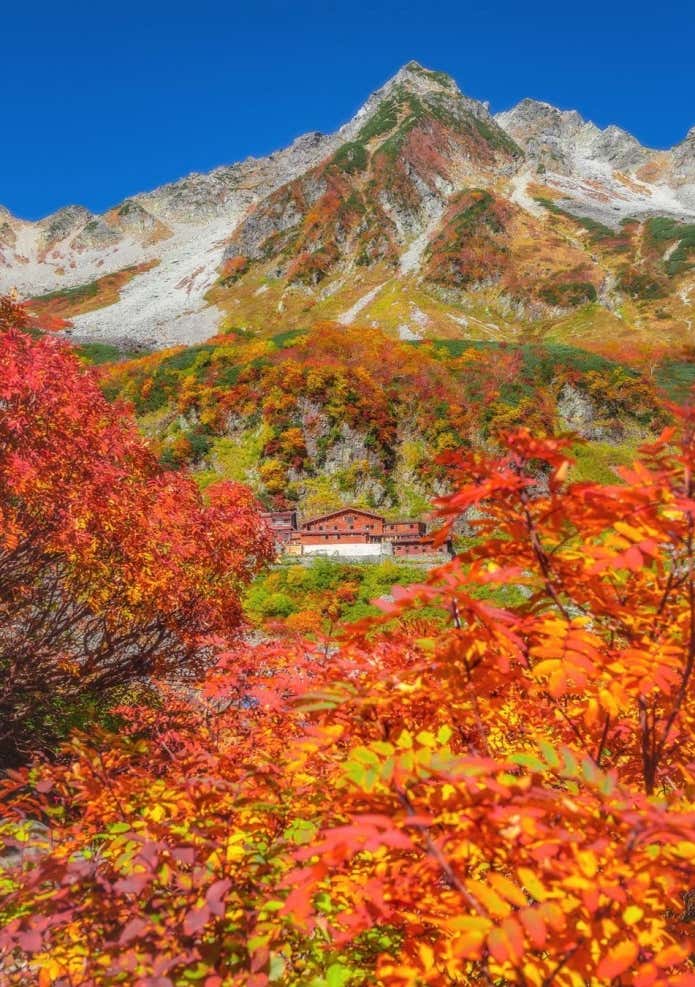 涸沢 紅葉