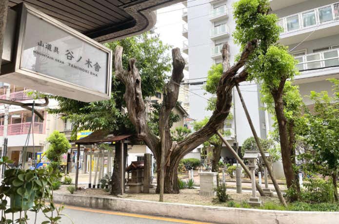 谷ノ木舎