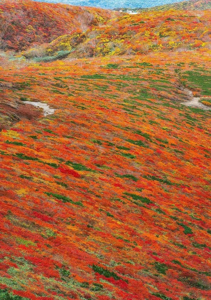 栗駒山