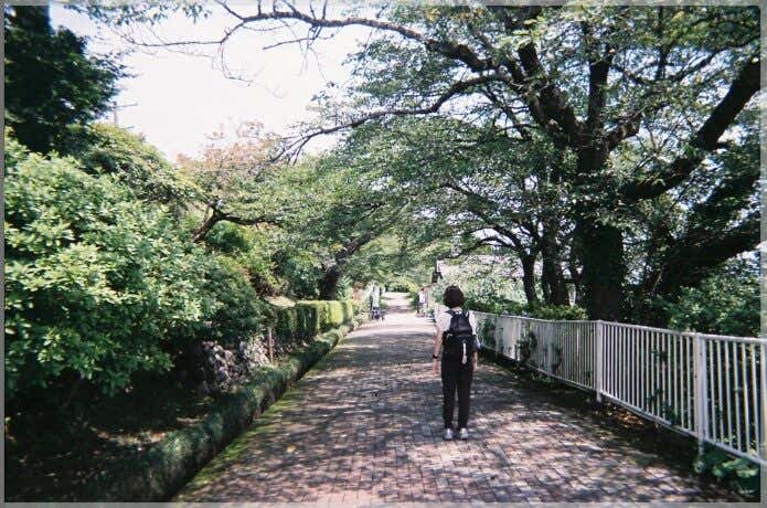 写ルンですで撮影