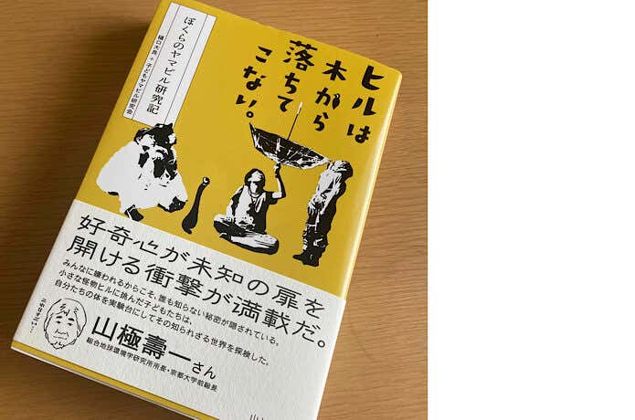 ヒルは木から落ちてこない