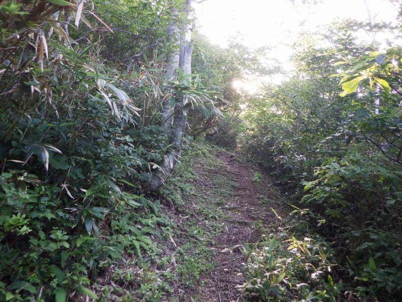 佐開登山道