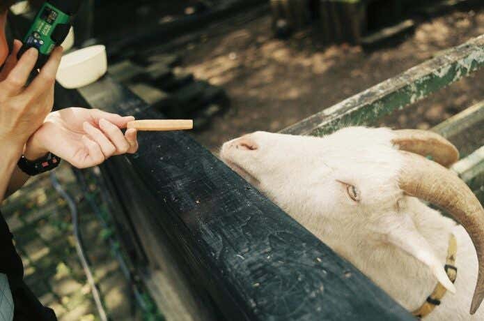 うきさん撮影の写真5
