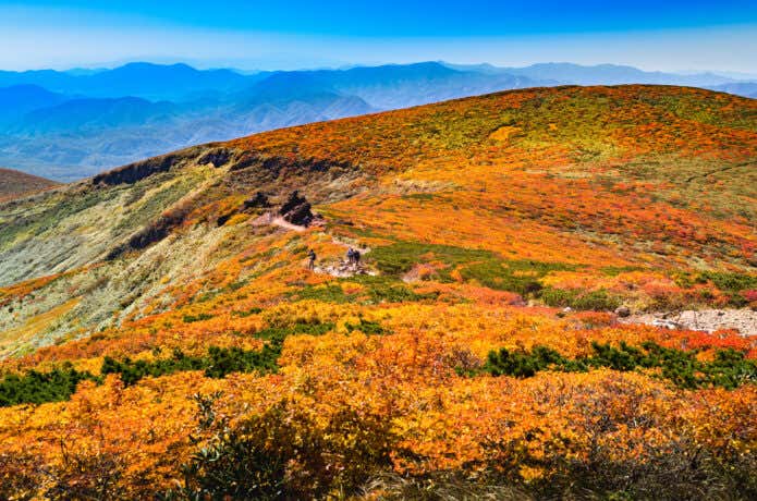 栗駒山