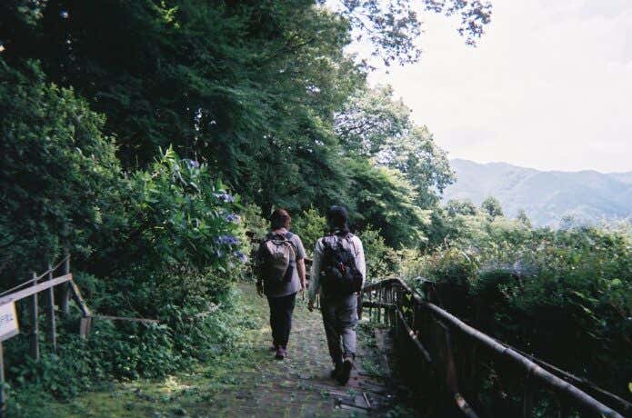 編集部撮影の写真5