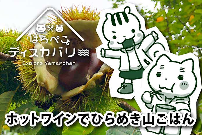 ホットワインでひらめき山ごはん　はらぺこディスカバリー