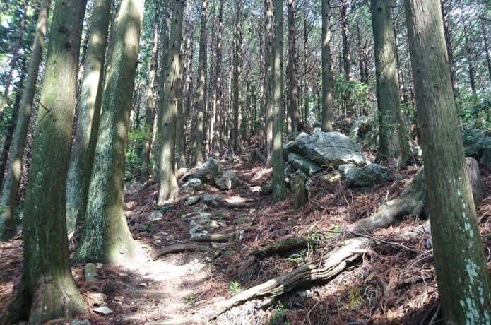愛知県　三河　本宮山　砥鹿神社　登山道